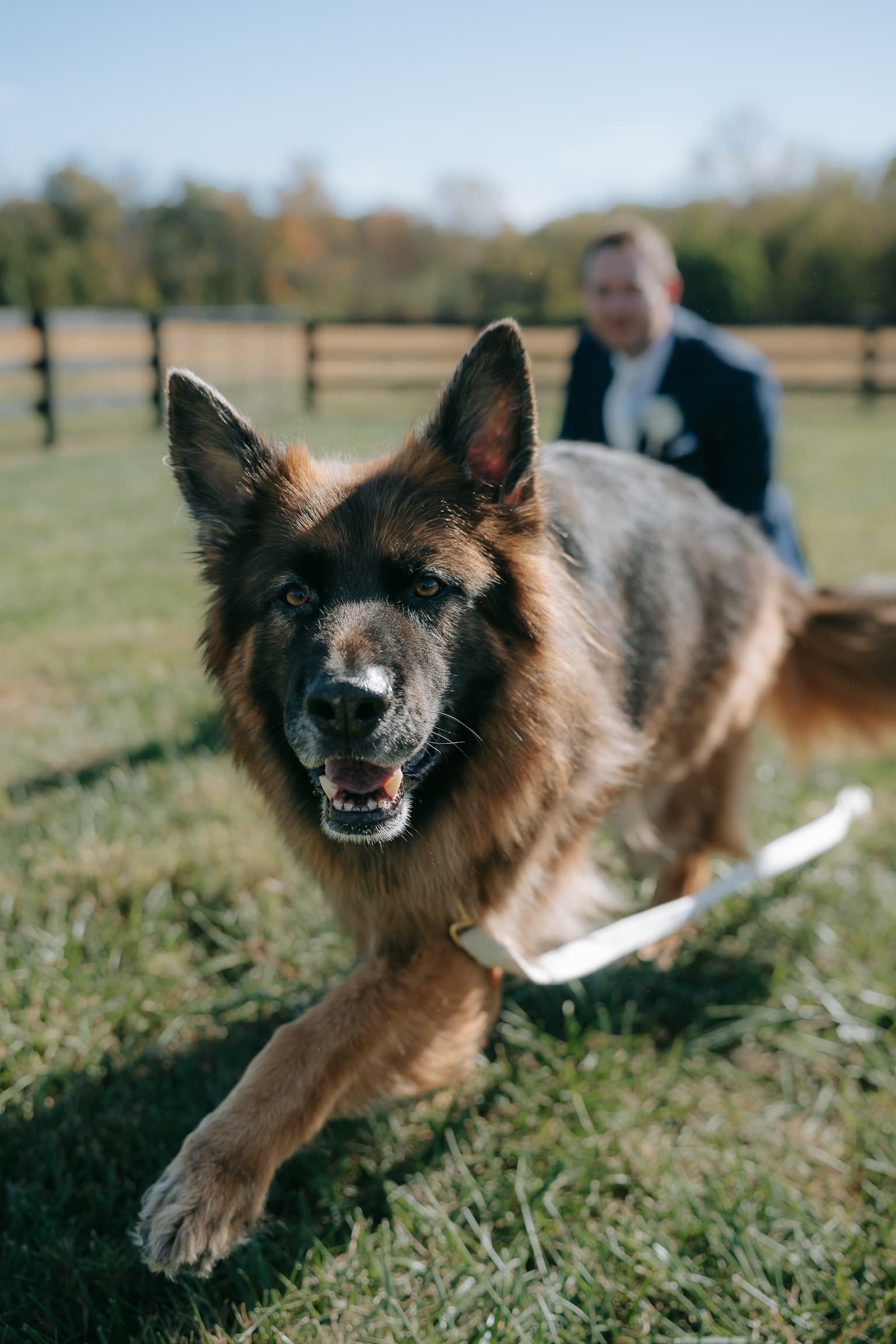 A photo of our doggy at the wedding :)
